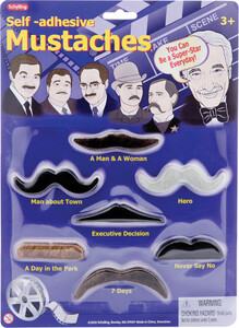 Schylling Costume moustaches 019649217489