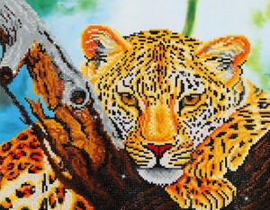 Diamond Dotz Broderie Diamant - Regard du léopard (Leopard Look) (Diamond Painting, peinture diamant) 4897073240817