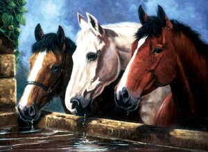 Royal & Langnickel Peinture à numéro junior trio de chevaux 39x28.5cm 090672056573
