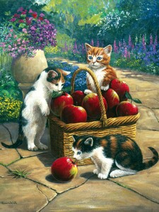 Royal & Langnickel Peinture à numéro junior récolte de pommes 22.5x29.5cm 090672056917