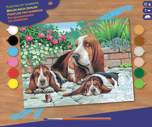 Sequin Peinture à numéro Peinture à numéro senior chiens Bassets au repos 5013634000440