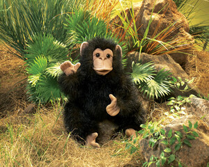 Folkmanis Marionnette Chimpanzé bébé, peluche 638348028778