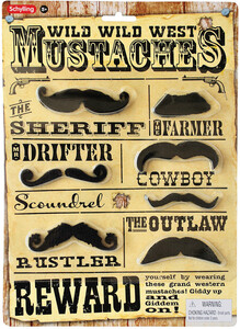 Schylling Costume moustaches Western 019649231577