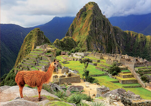 Educa Borras Casse-tête 1000 Machu Picchu, Pérou 8412668179998